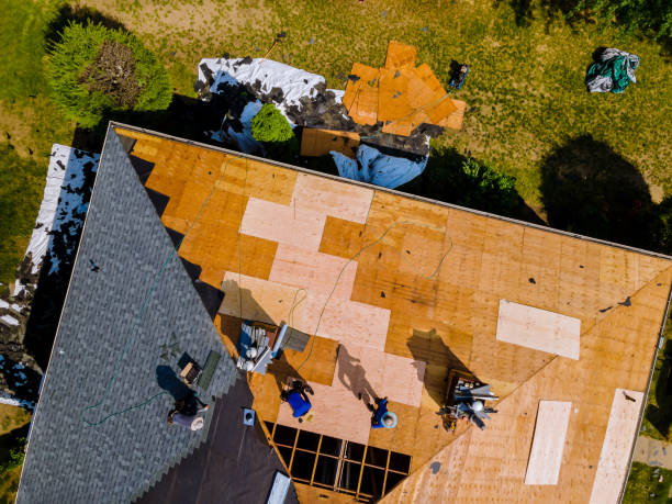 Best Shingle Roofing Installation  in Lawtey, FL